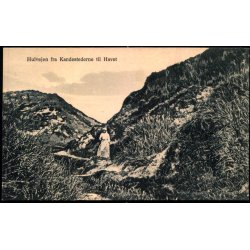 Hulvej fra Kandestederne til Havet - Kokholms Hotel V 24 - Ubrugt