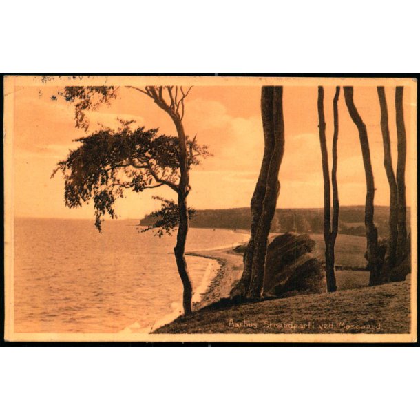 Aarhus - Strandparti ved Moesgaard  - Stender 27805 - Brugt