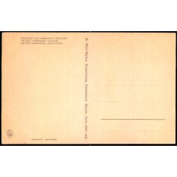 Kbenhavn - Zoologisk Have - Lveunger - K. Witt-Mller 6700 - 302