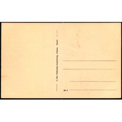 Kongens Have set fra Theaterets- Terrassen - Odense - Chr. Pedersens Forlag 16 p - Ubrugt