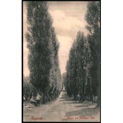 Taasinge - Allen ved Valdemar Slot - Albert Hansen u/n - Brugt