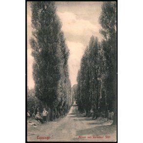 Taasinge - Allen ved Valdemar Slot - Albert Hansen u/n - Brugt