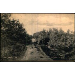 Ved Bangs H�j - Tisvilde Hegn - A. Jensens Bogh. 8003 - Brugt