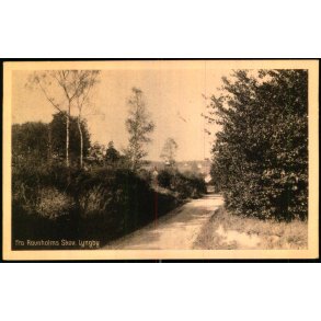 Fra Ravnholms Skov - Lyngby - Henriksen Bogh. 54542 - Ubrugt - Har v�ret kl�bet op !