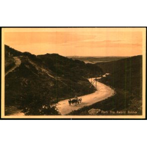 Parti fra Rebild Bakker - Stender 40552 - Ubrugt