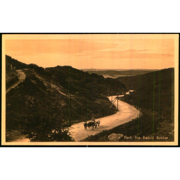 Parti fra Rebild Bakker - Stender 40552 - Ubrugt