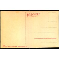 Kbenhavn - Raadhuset og Palads Hotel - Alex Vincent 13