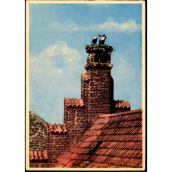 Esbjerg - Storke p� Posthuset - Rudolf Olsen 403 - Brugt