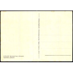 Gudhejm - Colbergs Bogh. 8515 - Ubrugt