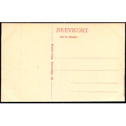 Kbenhavn - Raadhuset - Stender 800