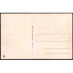 Odense - Den nye Musiktribune i Kongens Have - Stender O. 557 - Ubrugt