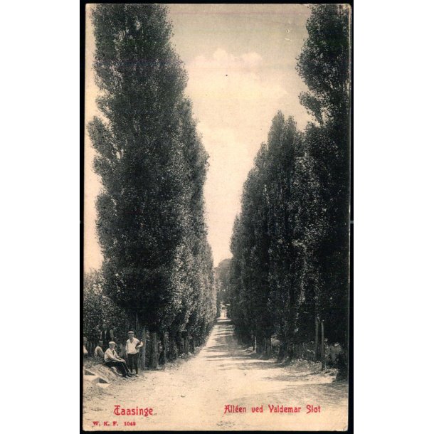 Taasinge - Allen ved Valdemar Slot - W.K.F. 1048 - Brugt