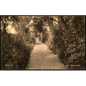Ebeltoft - Skovstien - Ebeltoft Bogh. 45399 - Ubrugt