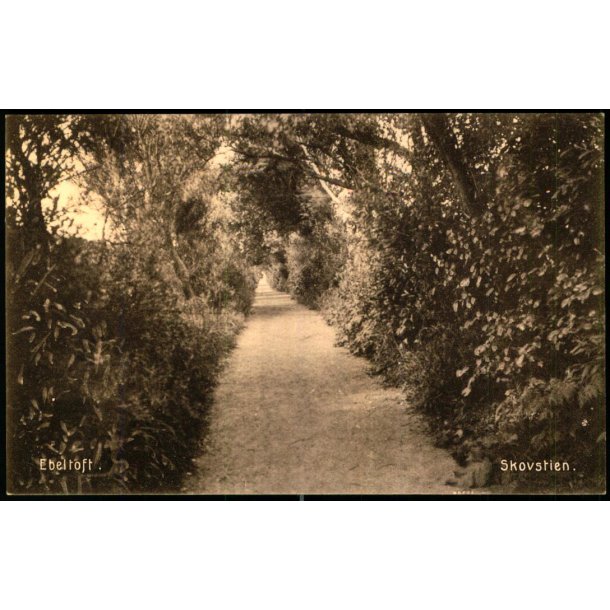Ebeltoft - Skovstien - Ebeltoft Bogh. 45399 - Ubrugt