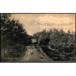 Ved Bangs H�j - Tisvilde Hegn - A. Jensens Bogh. 8003 - Brugt