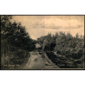 Ved Bangs H�j - Tisvilde Hegn - A. Jensens Bogh. 8003 - Brugt