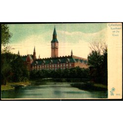 Kbenhavn - Raadhuset set fra Tivoli - Peter Alstrup 6012 - Brugt