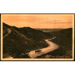 Parti fra Rebild Bakker - Stender 40552 - Brugt