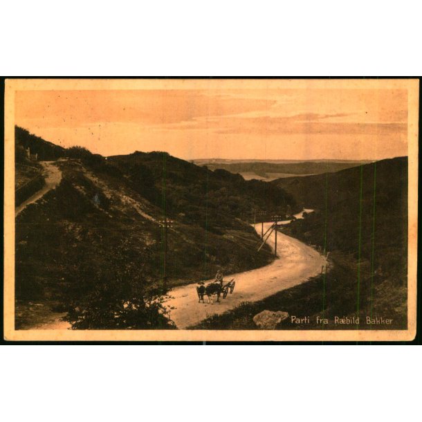 Parti fra Rebild Bakker - Stender 40552 - Brugt