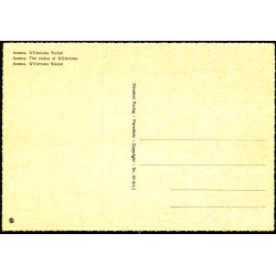 Assens - Willemoes Statue - Stender 40 501/1 - Ubrugt