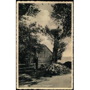 Tibirke - Storkene paa 