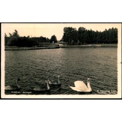 Videb�k - Anl�get -  Fotokort M. Tranbergs Bogh u/n - Brugt. 