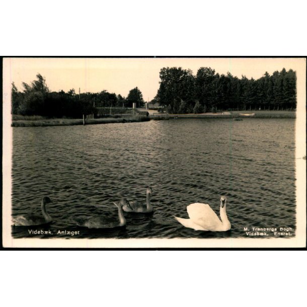 Videb�k - Anl�get -  Fotokort M. Tranbergs Bogh u/n - Brugt. 