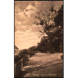 Bogense - Parti ved Fredsskoven - J. Chr. Pedersen 1145 - Brugt