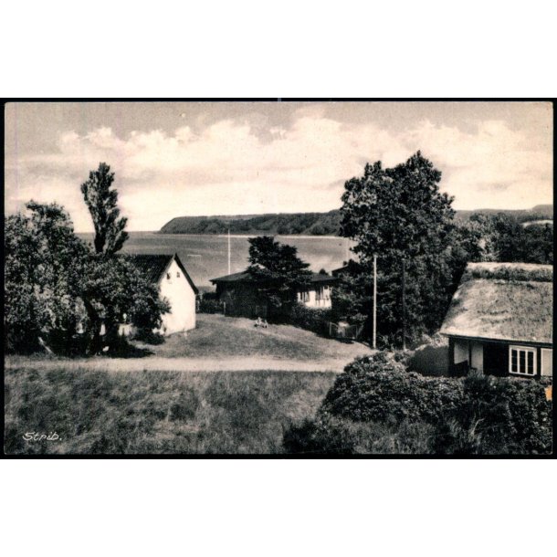 Strib - Chr. A.L. Thomsen 13966 - Brugt