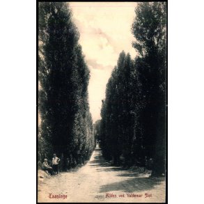 Taasinge - Allen ved Valdemar Slot - W.K.F. 1048 - Ubrugt