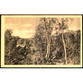 Fra Tisvilde Hegn - Udsigt fra Bangs H�j - E. Ramlaus Bogh. u/n - Ubrugt