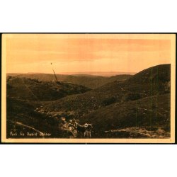 Parti fra Rebild Bakker - Stender 40554 - Ubrugt