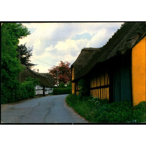 Langsted - Inger Smedegaard Jensen u/n - Brugt