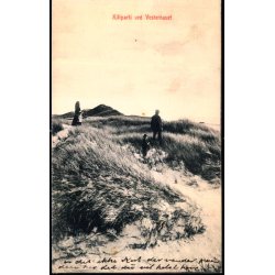 Klitparti ved Vesterhavet - W.K.F. 3675 - Brugt