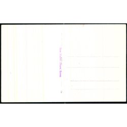 Skagen - Drachmanns Grav -  Fotokort  Nielsens 39 - Ubrugt