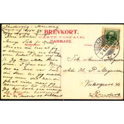 Klitparti ved Vesterhavet - W.K.F. 3675 - Brugt