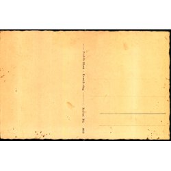 Tibirke - Storkene paa "Toftegaard" - Rudolf Olsen 6445 - Ubrugt