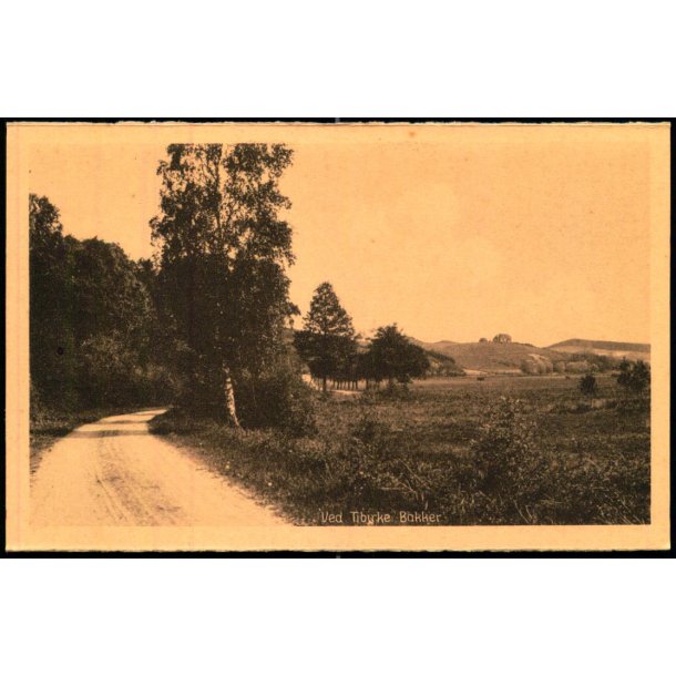 Ved Tibirke Bakker - Albert Jensens Bogh. 50328 - Ubrugt