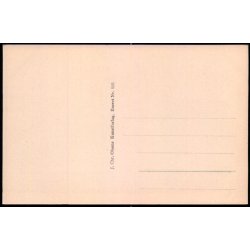 Kbenhavn - Fra Vgtergangen paa Raadhuset - Chr. Olsen 986