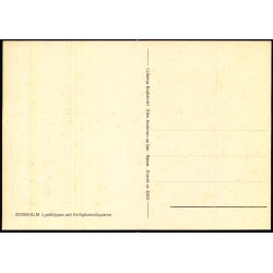 Bornholm - Klippeparti ved Helligdomsklipperne - Colbergs Bogh. 8425 - Ubrugt