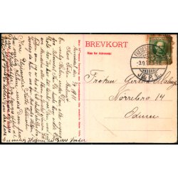 Parken ved Arres�dal - A. Jensens Bogh. 21539 - Brugt