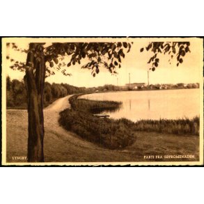 Lyngby - Parti fra  S�promenaden - Petersens Bogh. ? - Ubrugt - Har v�ret kl�bet op !