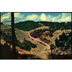 Mols - Tinghulen - Elles 1062259 - Brugt