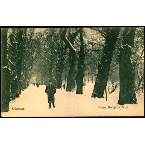 Odense -  Alleen i Kongens Have - Stender 19088 - Brugt