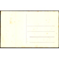 Gudenaaen - Fotokort 1067 - Ubrugt