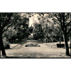 Laugesens Have - Laugesens Have 11741 - Ubrugt