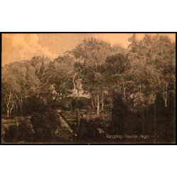 Bangsh�j - Tisvilde Hegn - S. Nielsen 43712 - Ubrugt