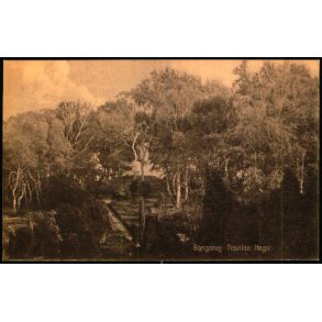 Bangsh�j - Tisvilde Hegn - S. Nielsen 43712 - Ubrugt