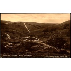 Udsigt over Gryden - Rebild Nationalpark - Sk�rping Bogh. 2038 - Ubrugt