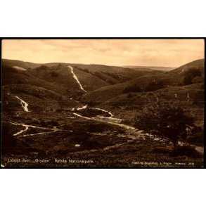 Udsigt over Gryden - Rebild Nationalpark - Sk�rping Bogh. 2038 - Ubrugt